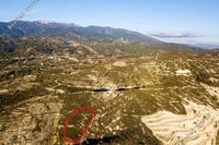 2676 SQM Plot in Omodos (Limassol) for sale 
