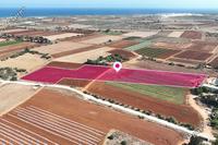 13623 SQM Land · Potamos Liopetriou (Famagusta) for sale 