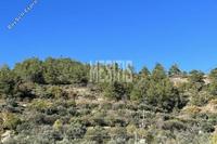 17480 SQM Land · Kalo Chorio Oreinis (Nicosia) for sale 