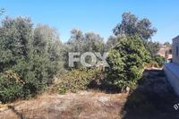 1027 SQM Land in Tsada (Paphos) for sale 