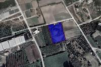 7109 SQM Land · Kissonerga (Paphos) for sale 