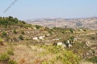 8362 SQM Land in Pachna (Limassol) for sale 