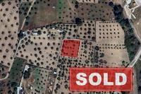 1350 SQM Land in Kornos (Larnaca) for sale 
