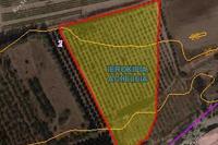 17057 SQM Land in Acheleia (Paphos) for sale 