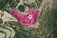 8696 SQM Land · Koili (Paphos) for sale 