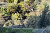 84 SQM Land in Palaichori Morfou (Nicosia) for sale 