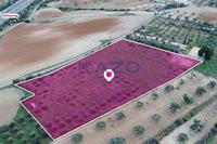 8938 SQM Land in Latsia (Nicosia) for sale 