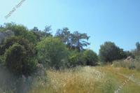3345 SQM Land · Parekklisia (Limassol) for sale 
