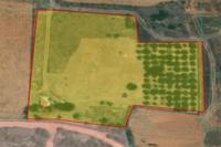 9523 SQM Land in Kokkinotrimithia (Nicosia) for sale 