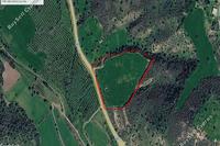 21378 SQM Land in Agios Theodoros Larnacas (Larnaca) for sale 