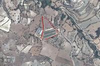 14600 SQM Land · Kritou Marottou (Paphos) for sale 