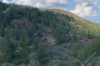 5310 SQM Land · Palaichori Morfou (Nicosia) for sale 