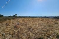 2220 SQM Land in Ineia (Paphos) for sale 