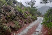 21192 SQM Land in Farmakas (Nicosia) for sale 