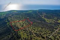 40135 SQM Land in Pissouri (Limassol) for sale 