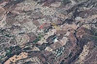 9031 SQM Land · Mathikoloni (Limassol) for sale 