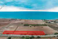 5830 SQM Land · Mazotos (Larnaca) for sale 