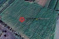 6650 SQM Land in Dromolaxia (Larnaca) for sale 