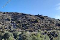 13379 SQM Land · Kalavasos (Larnaca) for sale 