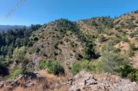 12877 SQM Land in Gourri (Nicosia) for sale 