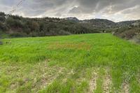 8684 SQM Land in Pissouri (Limassol) for sale 