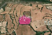 11288 SQM Land in Kato Akourdalia (Paphos) for sale 