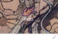 6021 SQM Land · Lasa (Paphos) for sale 