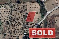 1693 SQM Land · Kornos (Larnaca) for sale 