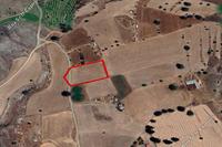 5481 SQM Land in Psevdas (Larnaca) for sale 