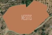 9365 SQM Land in Xyliatos (Nicosia) for sale 
