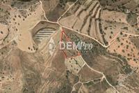 3660 SQM Land in Tala (Paphos) for sale 