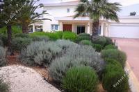 5 Bedroom Detached house · Latsia (Nicosia) to rent 