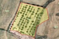 11154 SQM Land in Oroklini (Larnaca) for sale 