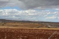 5017 SQM Land in Orounta (Nicosia) for sale 