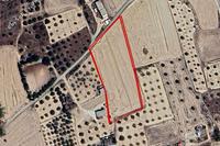 7024 SQM Land in Athienou (Larnaca) for sale 
