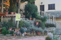 5 Bedroom Detached house in Pelendri (Limassol) for sale 