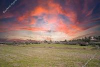 9700 SQM Plot · Kalo Chorio Oreinis (Nicosia) for sale 