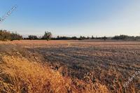 8362 SQM Land · Agios Silas (Limassol) for sale 