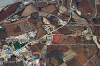 13100 SQM Land in Poli Chrysochous (Paphos) for sale 
