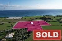 12320 SQM Land in Agios Theodoros Larnacas (Larnaca) for sale 