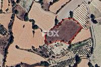 9365 SQM Land · Lemona (Paphos) for sale 