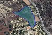 12375 SQM Land in Pissouri (Limassol) for sale 