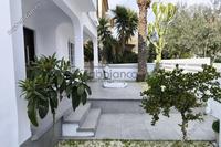 4 Bedroom Detached house in Makedonitissa (Nicosia) to rent 