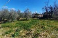 1228 SQM Land · Koili (Paphos) for sale 