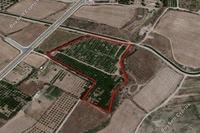 27206 SQM Land in Koloni (Paphos) for sale 