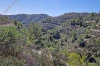7358 SQM Land · Silikou (Limassol) for sale 