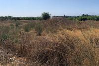 2745 SQM Plot · Geroskipou (Paphos) for sale 