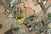 12208 SQM Land in Mazotos (Larnaca) for sale 