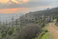 7024 SQM Land in Lageia (Larnaca) for sale 