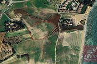 12710 SQM Land · Mazotos (Larnaca) for sale 